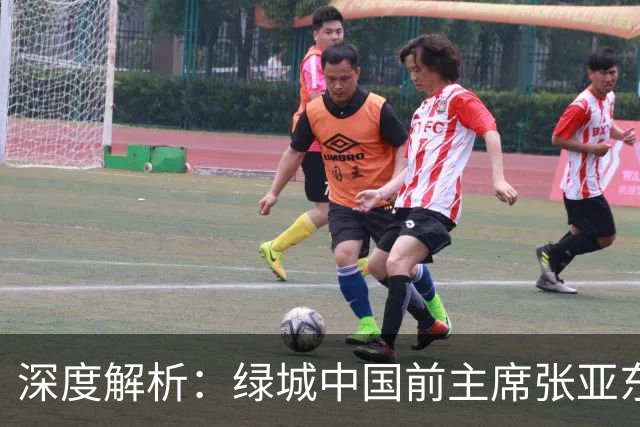 深度解析：绿城中国前主席张亚东受贿案背后的真相与涉案项目